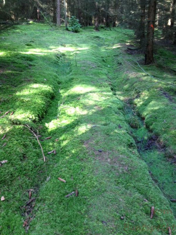 Bildla Nummera 017.jpg