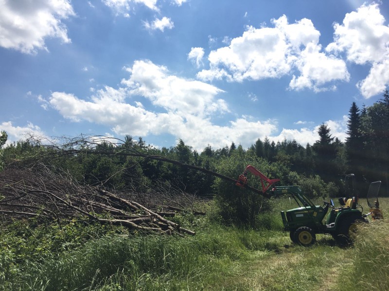 WhatsApp Image 2017-06-12 at 09.46.36.jpeg