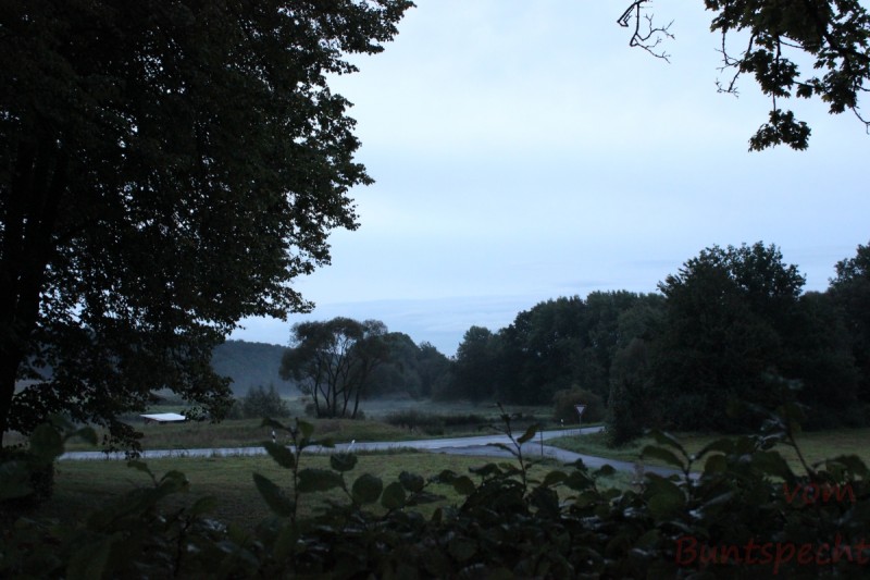 Bildla Nummera 002.jpg