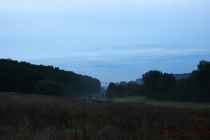 Bildla Nummera 003.jpg