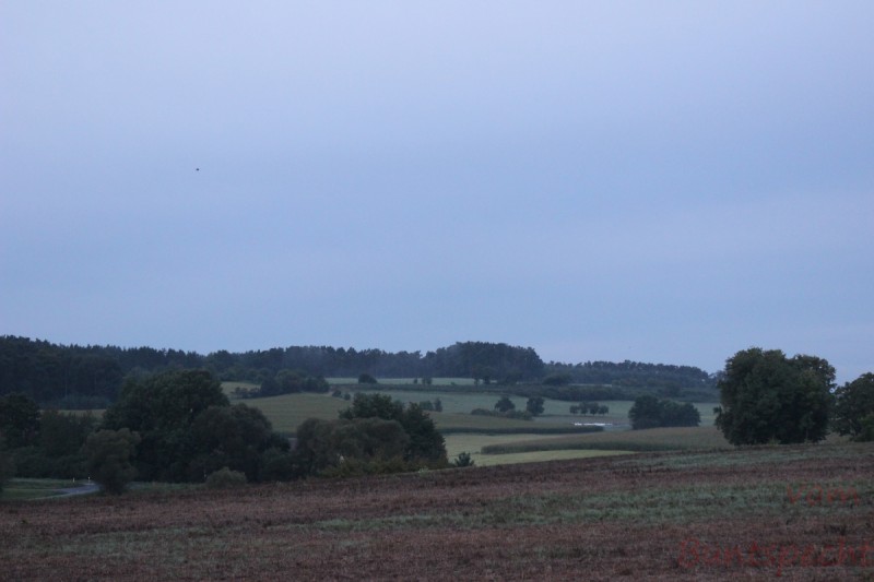 Bildla Nummera 004.jpg