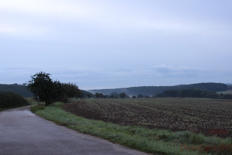 Bildla Nummera 005.jpg