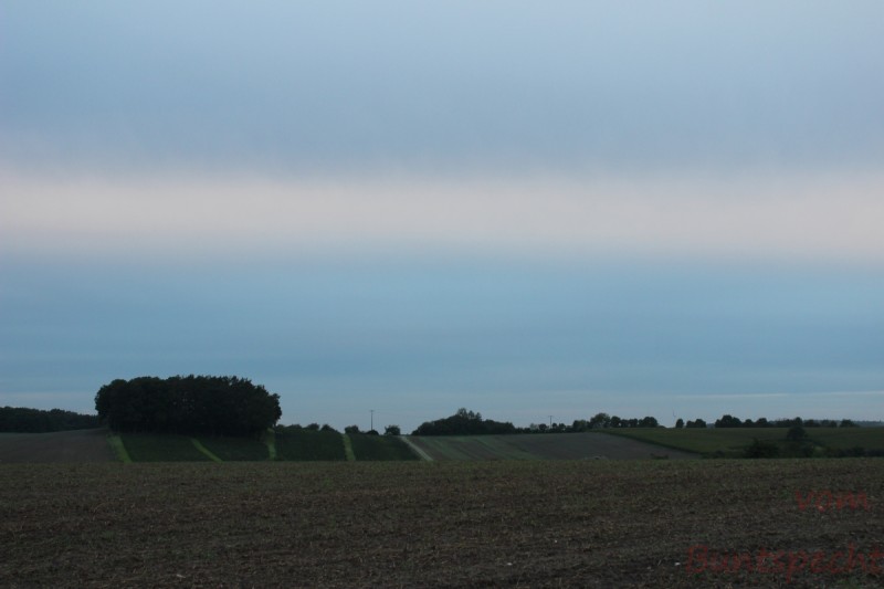 Bildla Nummera 006.jpg