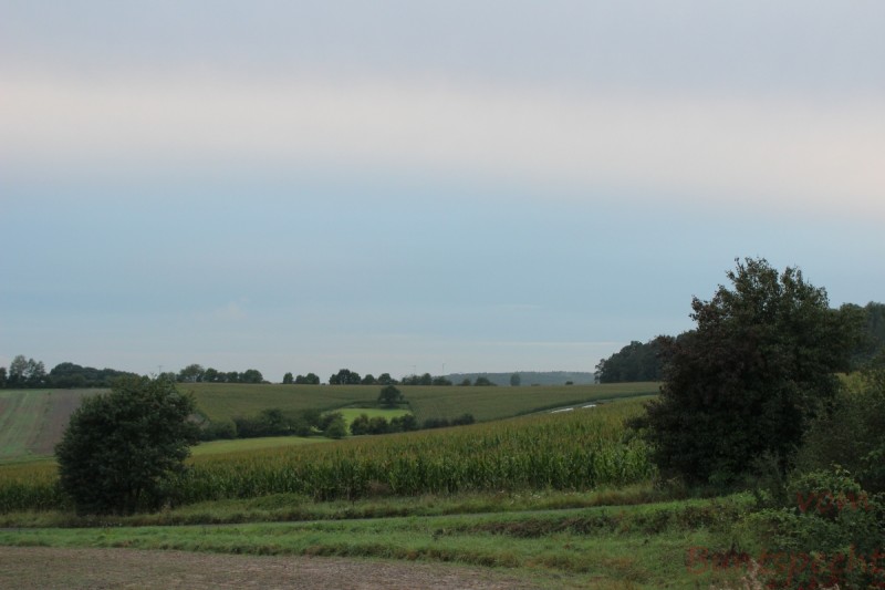 Bildla Nummera 007.jpg