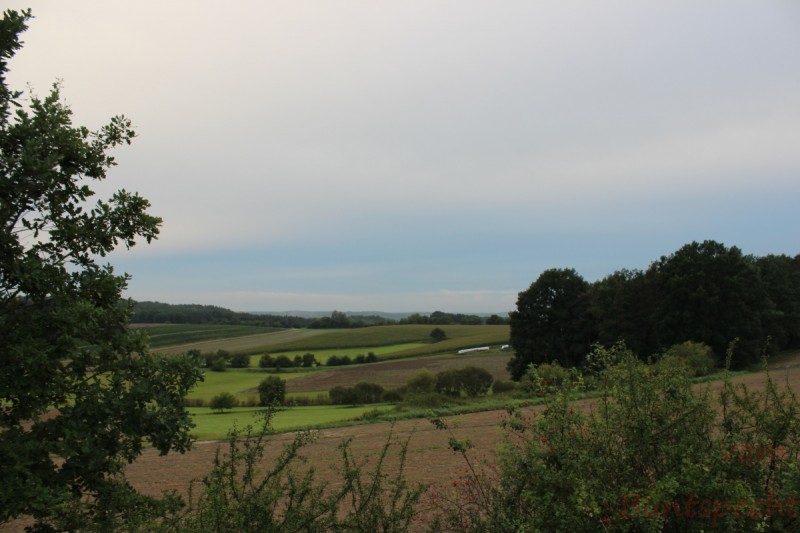 Bildla Nummera 008.jpg