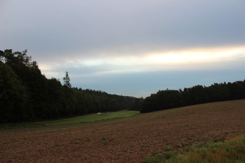 Bildla Nummera 009.jpg