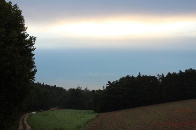 Bildla Nummera 010.jpg