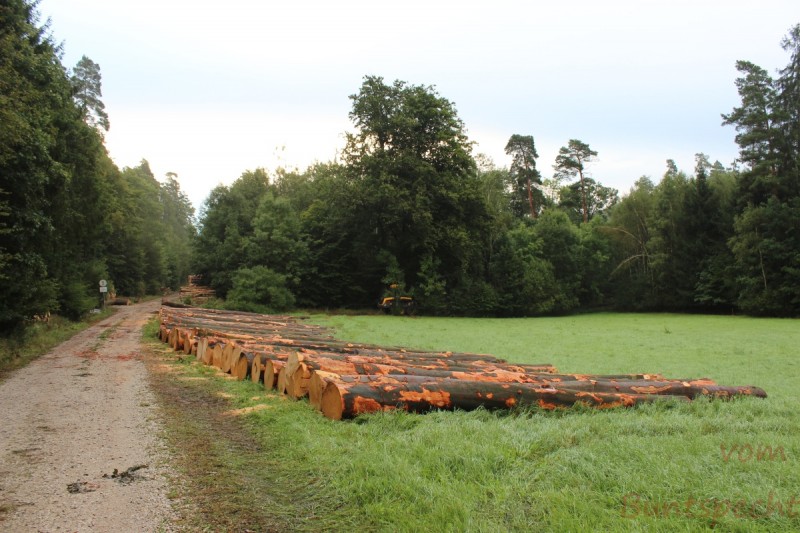 Bildla Nummera 011.jpg