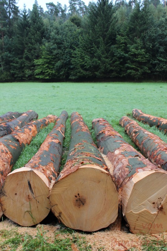 Bildla Nummera 012.jpg