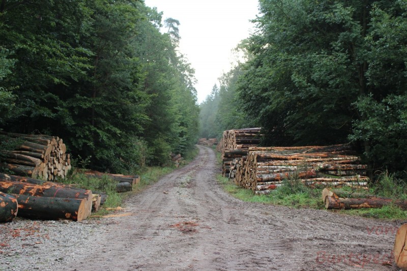 Bildla Nummera 013.jpg