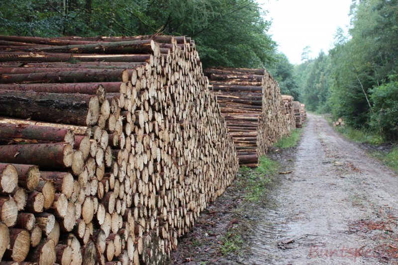 Bildla Nummera 015.jpg