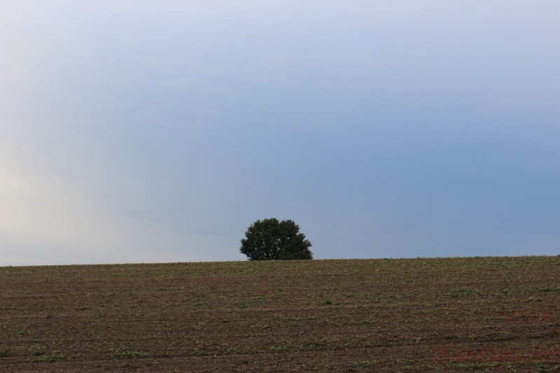 Bildla Nummera 016.jpg