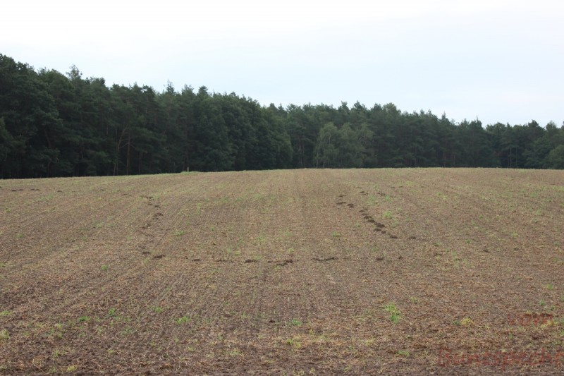 Bildla Nummera 018.jpg