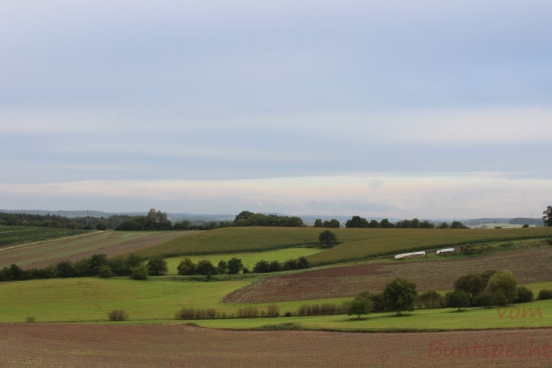 Bildla Nummera 019.jpg