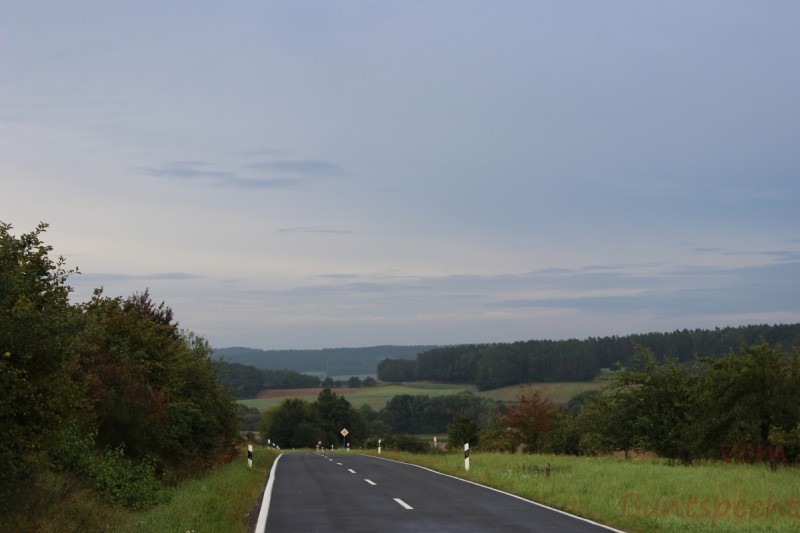 Bildla Nummera 020.jpg