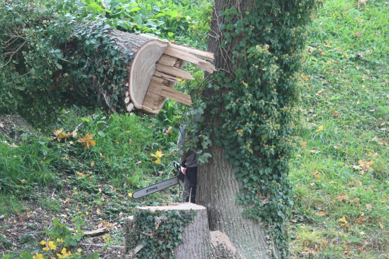 Bildla Nummera 012.jpg