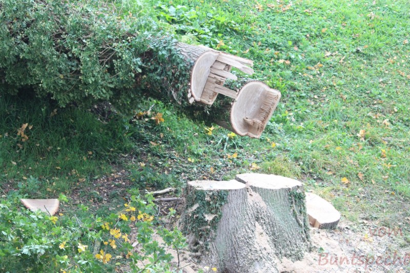 Bildla Nummera 013.jpg