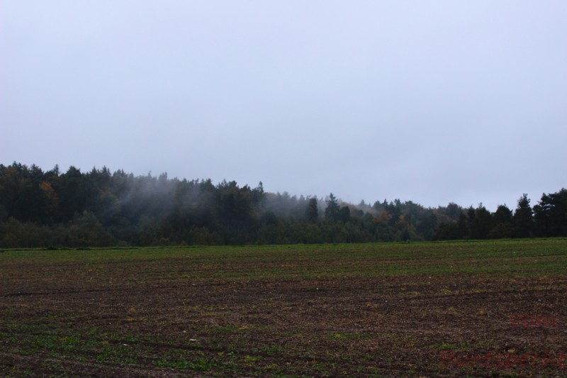 Bildla Nummera 002.jpg