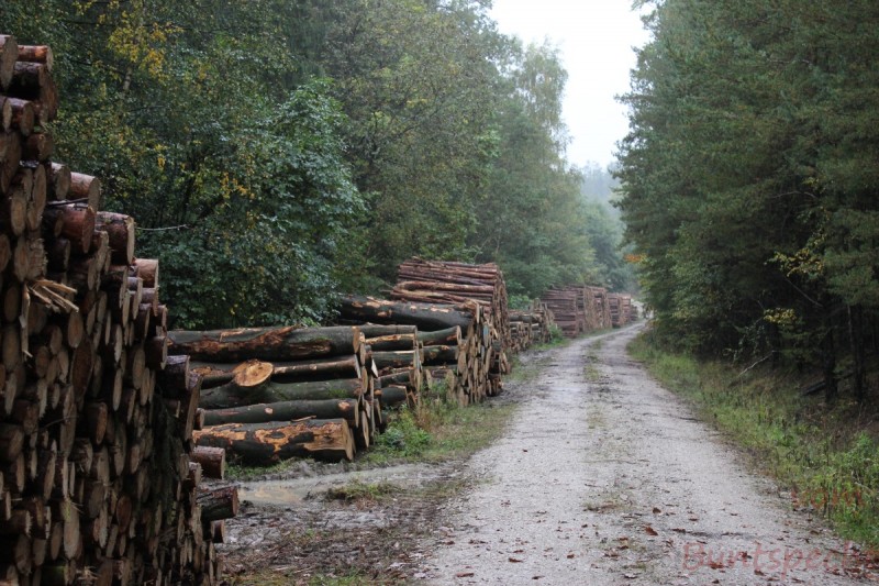 Bildla Nummera 004.jpg