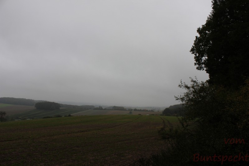 Bildla Nummera 009.jpg