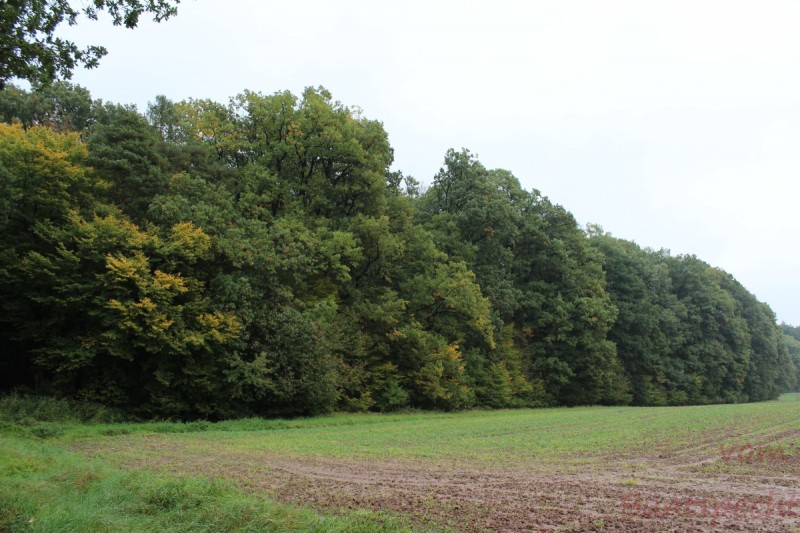 Bildla Nummera 011.jpg