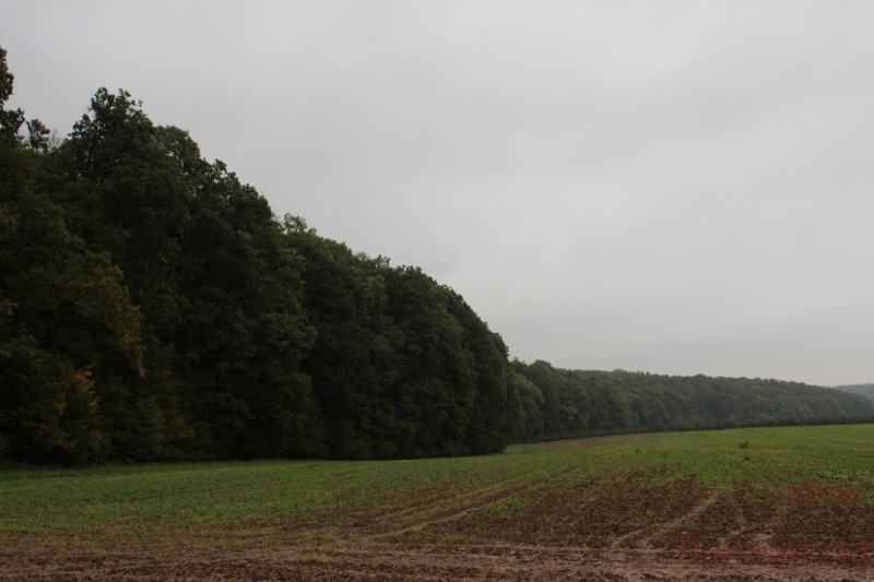 Bildla Nummera 012.jpg