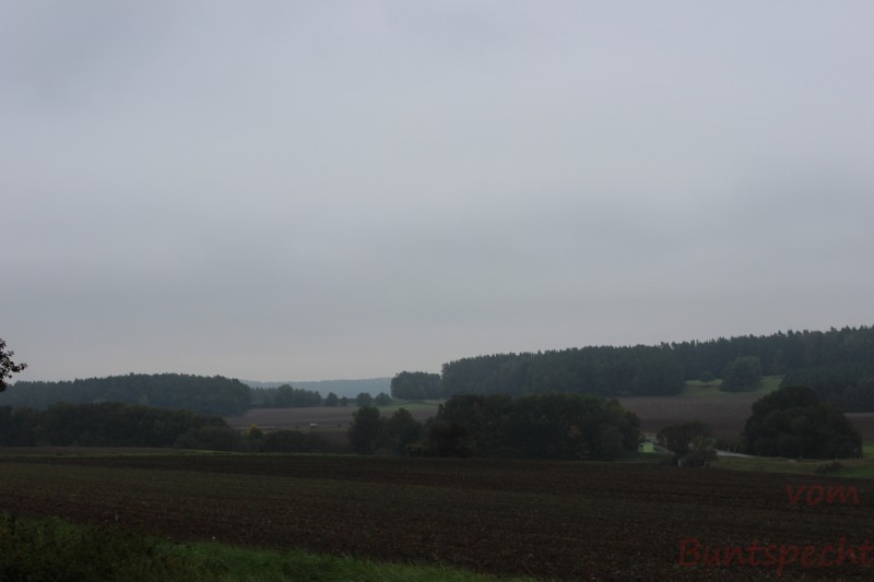 Bildla Nummera 016.jpg