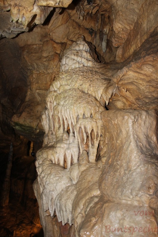 Bildla Nummera 001.jpg