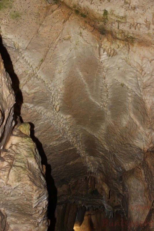 Bildla Nummera 002.jpg