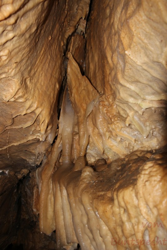 Bildla Nummera 003.jpg