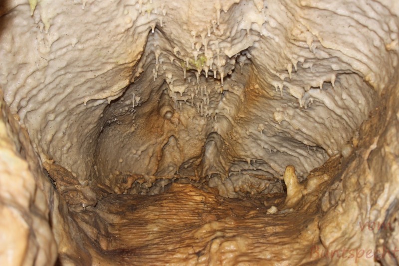 Bildla Nummera 004.jpg