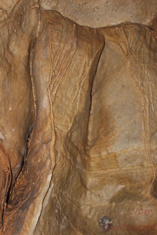 Bildla Nummera 005.jpg