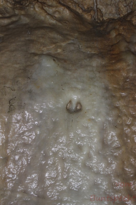 Bildla Nummera 006.jpg