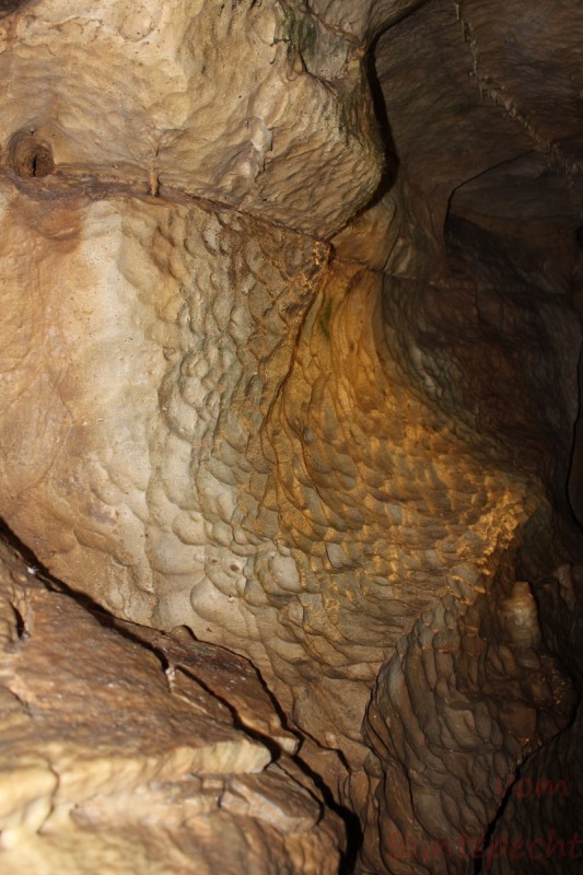 Bildla Nummera 007.jpg