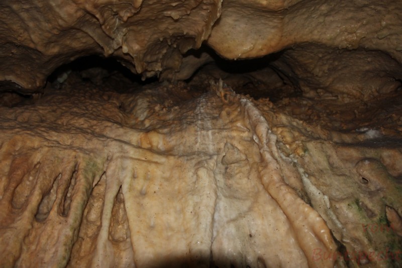 Bildla Nummera 008.jpg