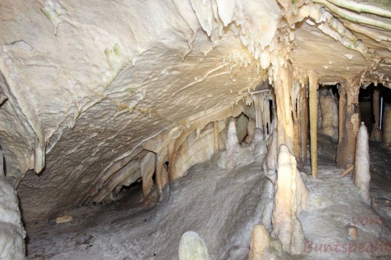 Bildla Nummera 009.jpg