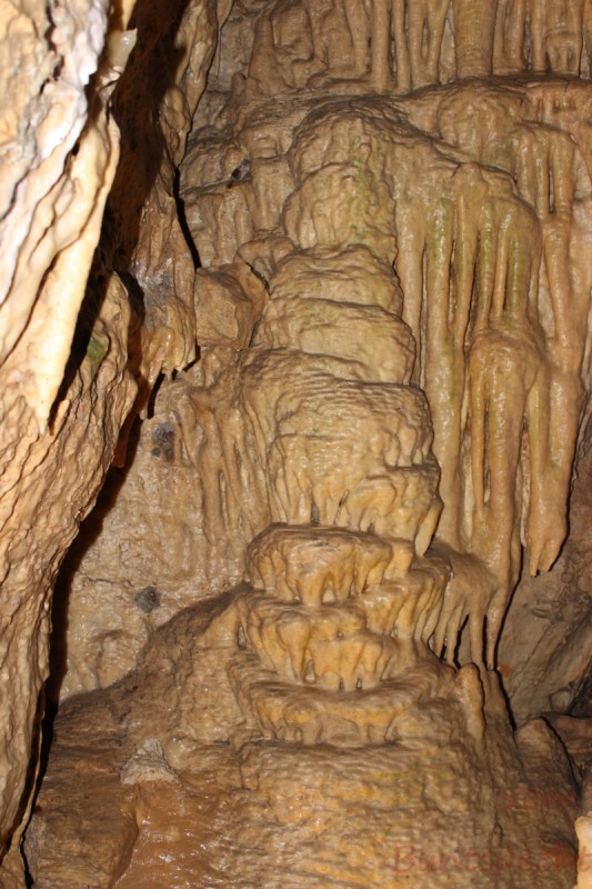 Bildla Nummera 010.jpg