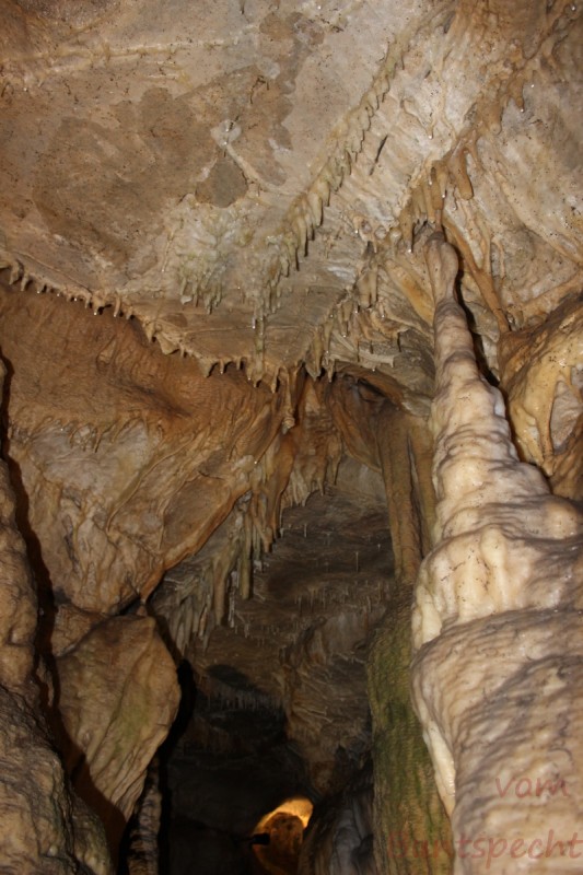 Bildla Nummera 011.jpg