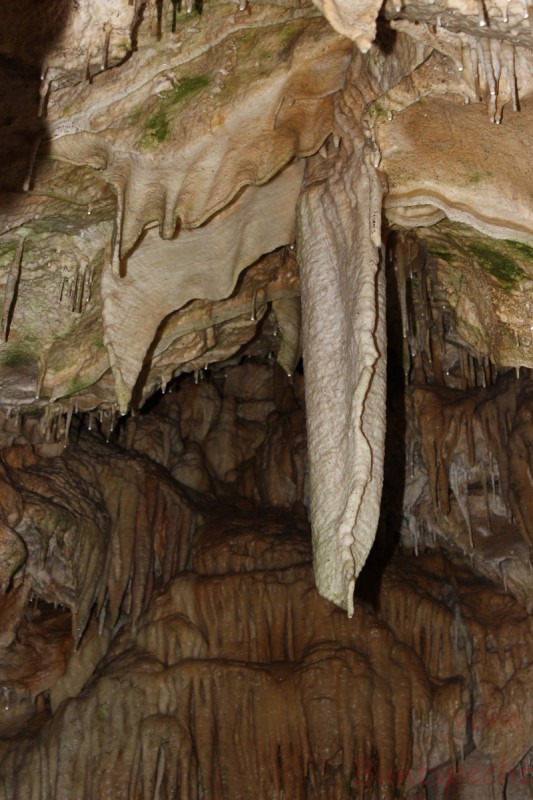 Bildla Nummera 012.jpg