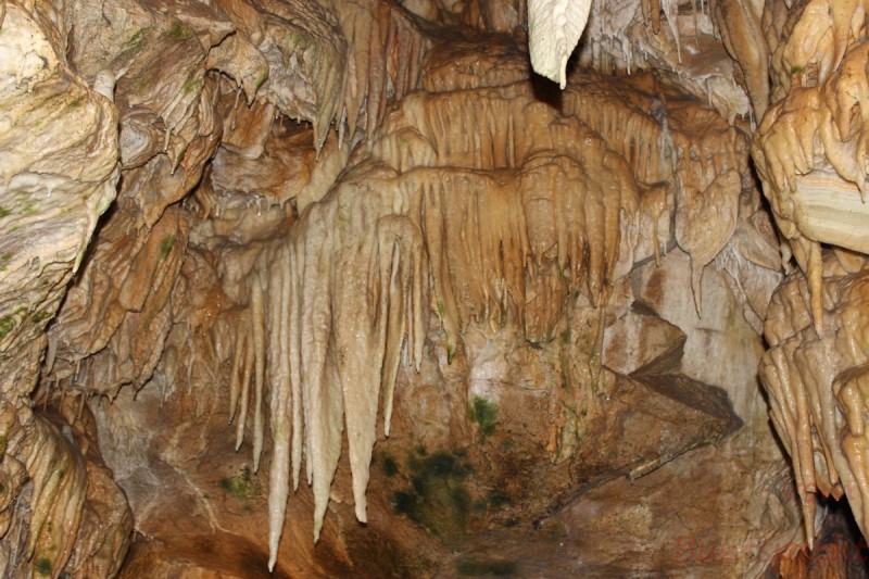 Bildla Nummera 013.jpg