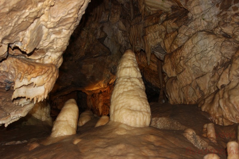 Bildla Nummera 014.jpg