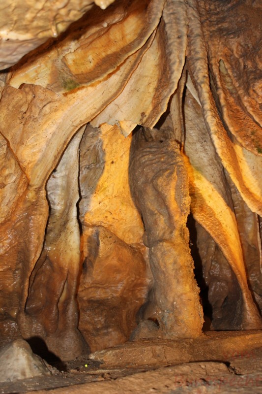 Bildla Nummera 015.jpg