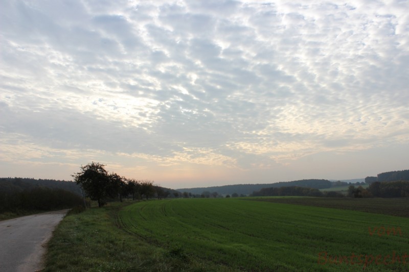 Bildla Nummera 001.jpg