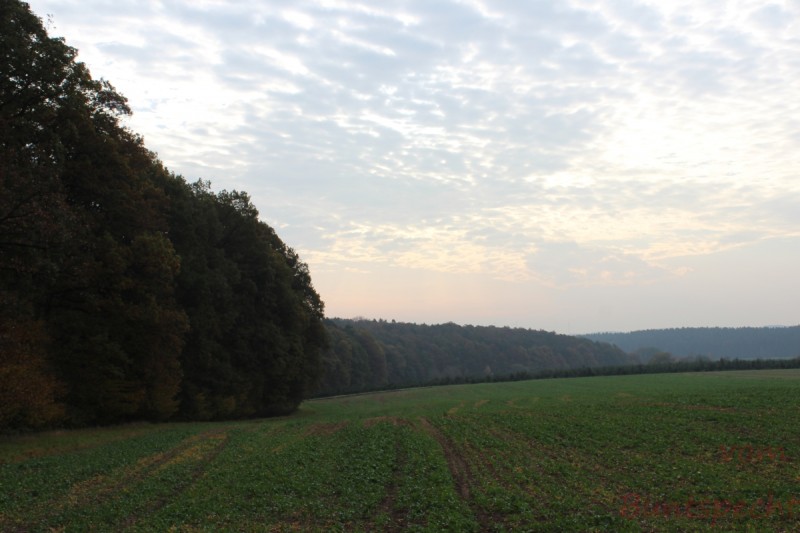 Bildla Nummera 003.jpg