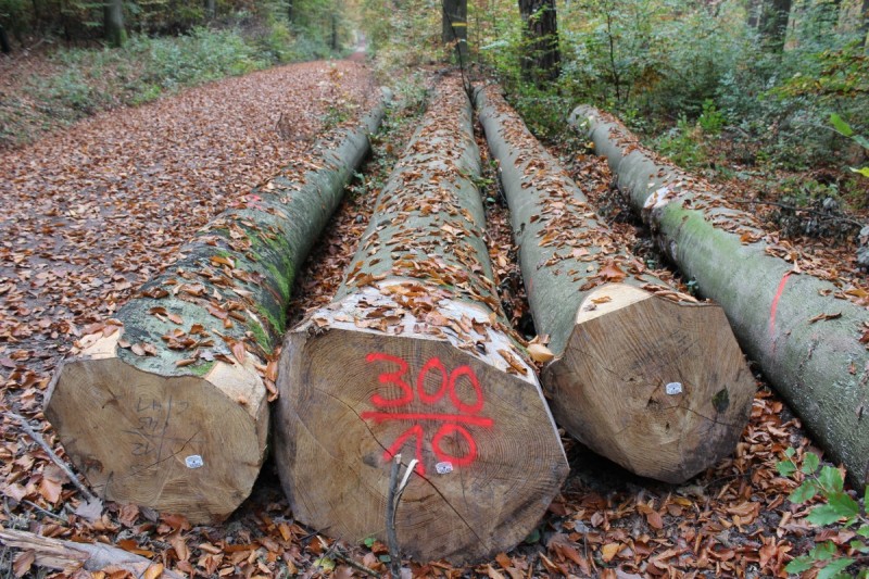 Bildla Nummera 009.jpg