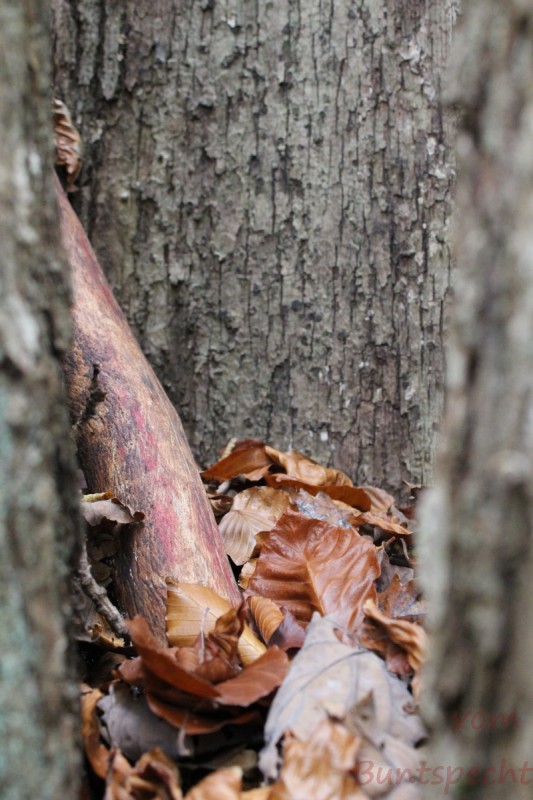 Bildla Nummera 015.jpg