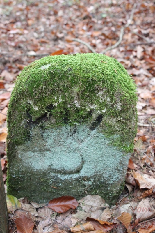 Bildla Nummera 023.jpg