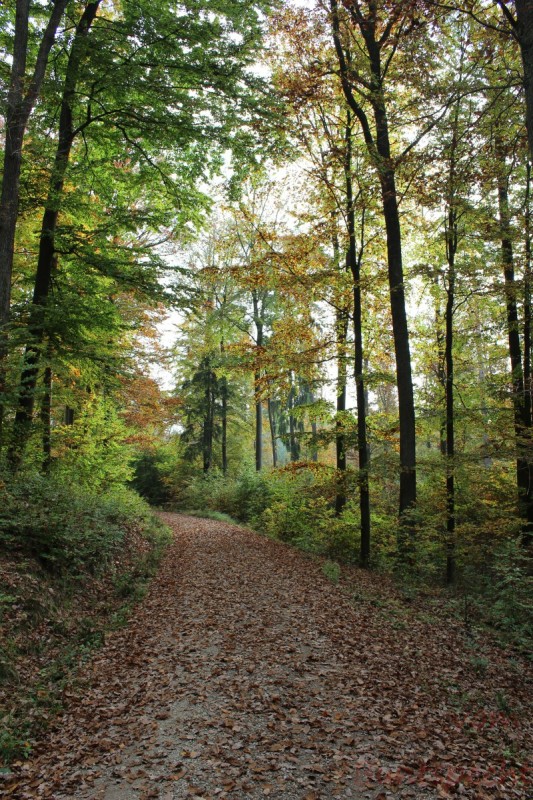 Bildla Nummera 030.jpg