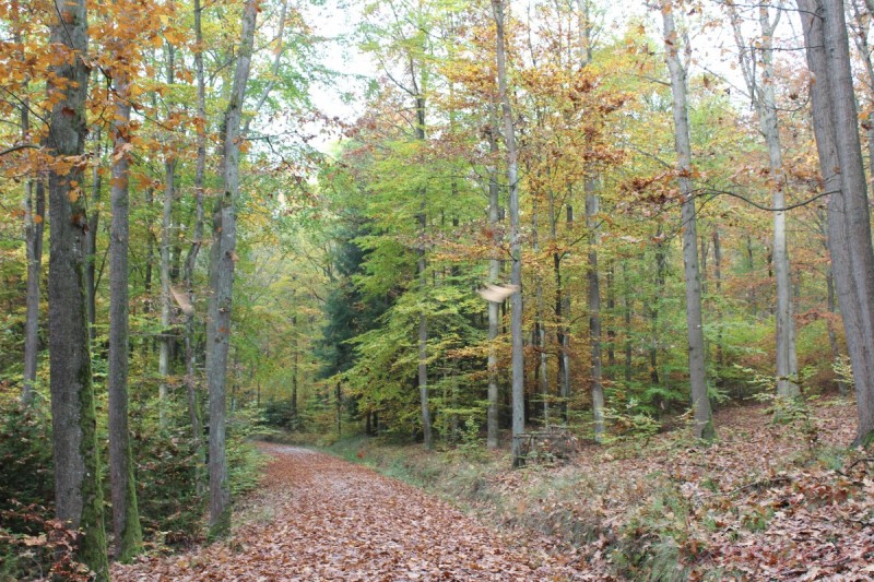 Bildla Nummera 036.jpg