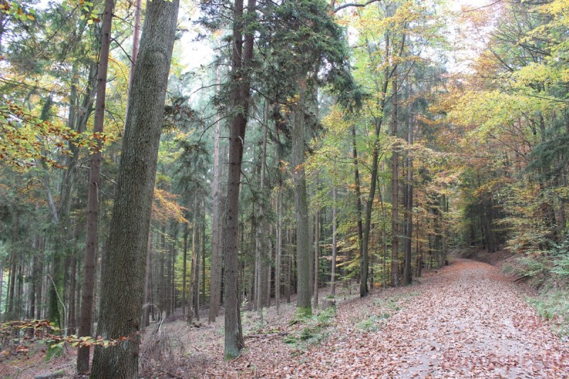 Bildla Nummera 038.jpg